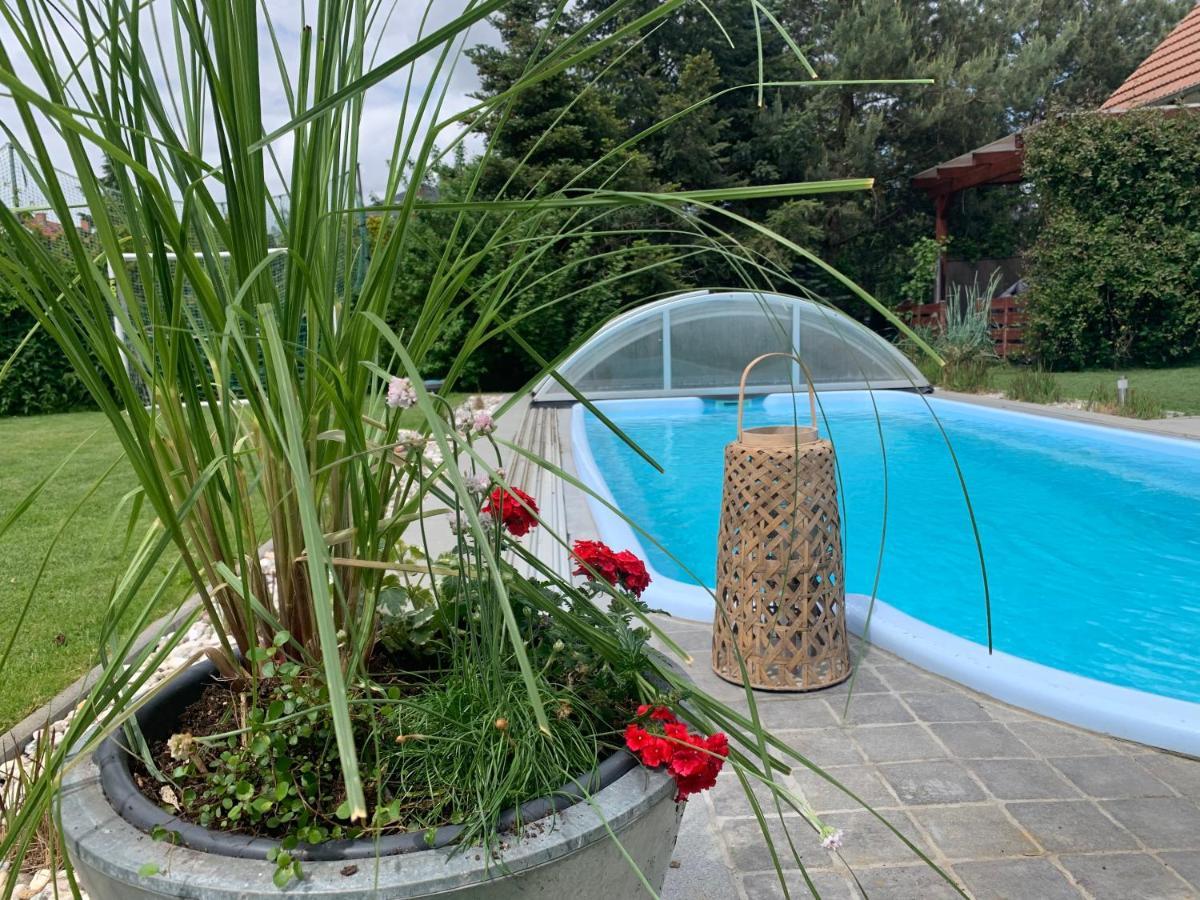 Pool & Lake Holiday Home Markkleeberg Exterior foto